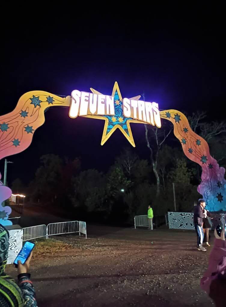 Electric Forest Scenic Installation